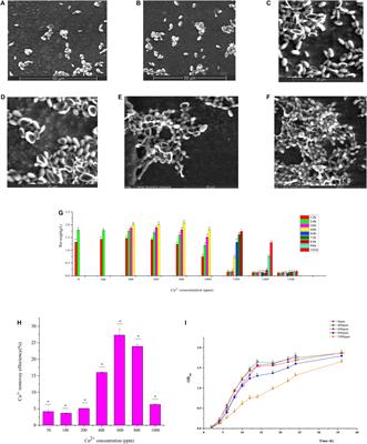 Copper Tolerance Mechanism of the Novel Marine Multi-Stress Tolerant Yeast Meyerozyma guilliermondii GXDK6 as Revealed by Integrated Omics Analysis